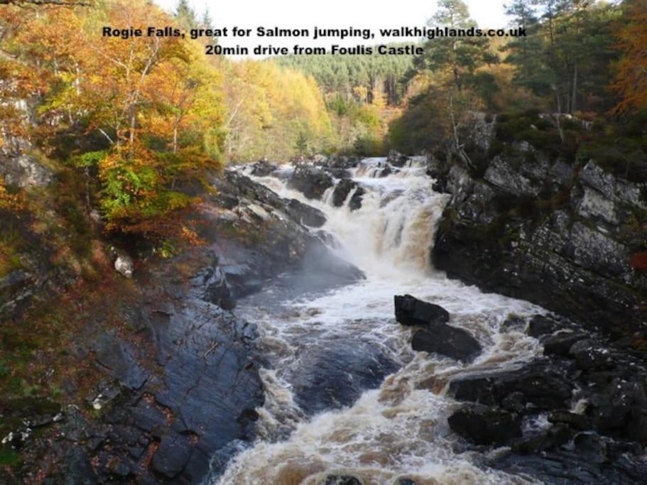 Foulis Cottage, Foulis Estate, Highland Scotland Ardullie Екстер'єр фото
